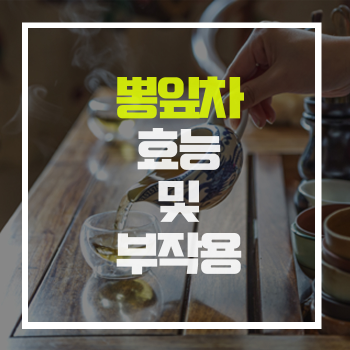  미세먼지로 쌓인 중금속 배출에 탁월, '뽕잎차'의 효능 및 부작용!
