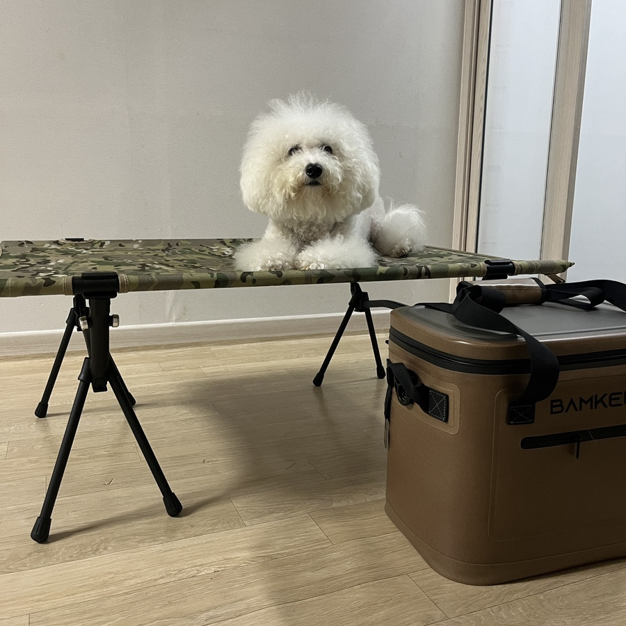 알래즈 이미지