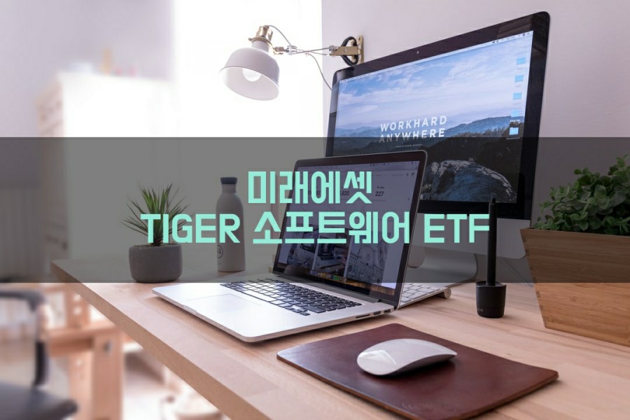  타이거 TIGER 소프트웨어 ETF