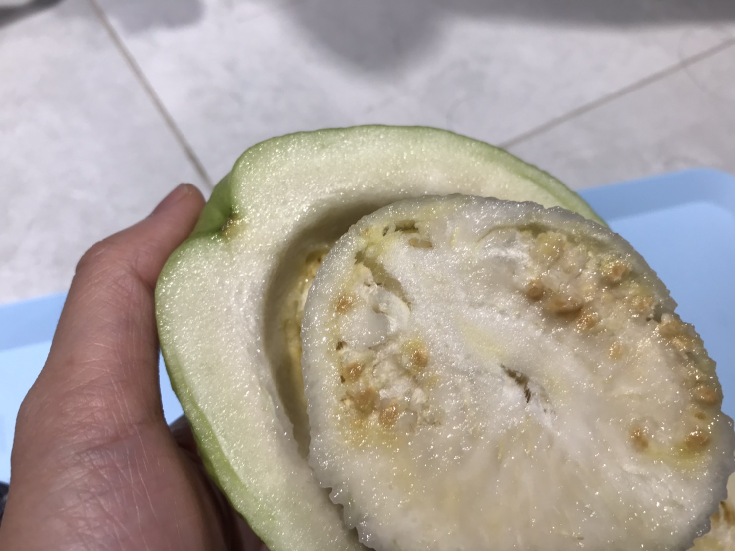 과일 구아바 자르는법 먹는법 :: 올렛의 잡동사니 모음