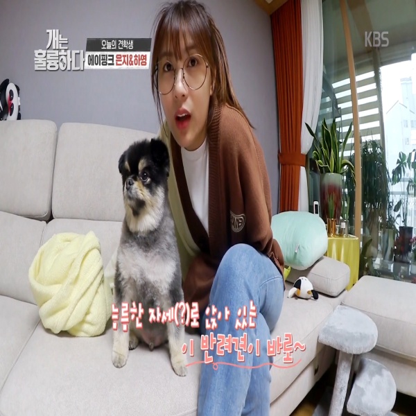  에이핑크 오하영 반려견