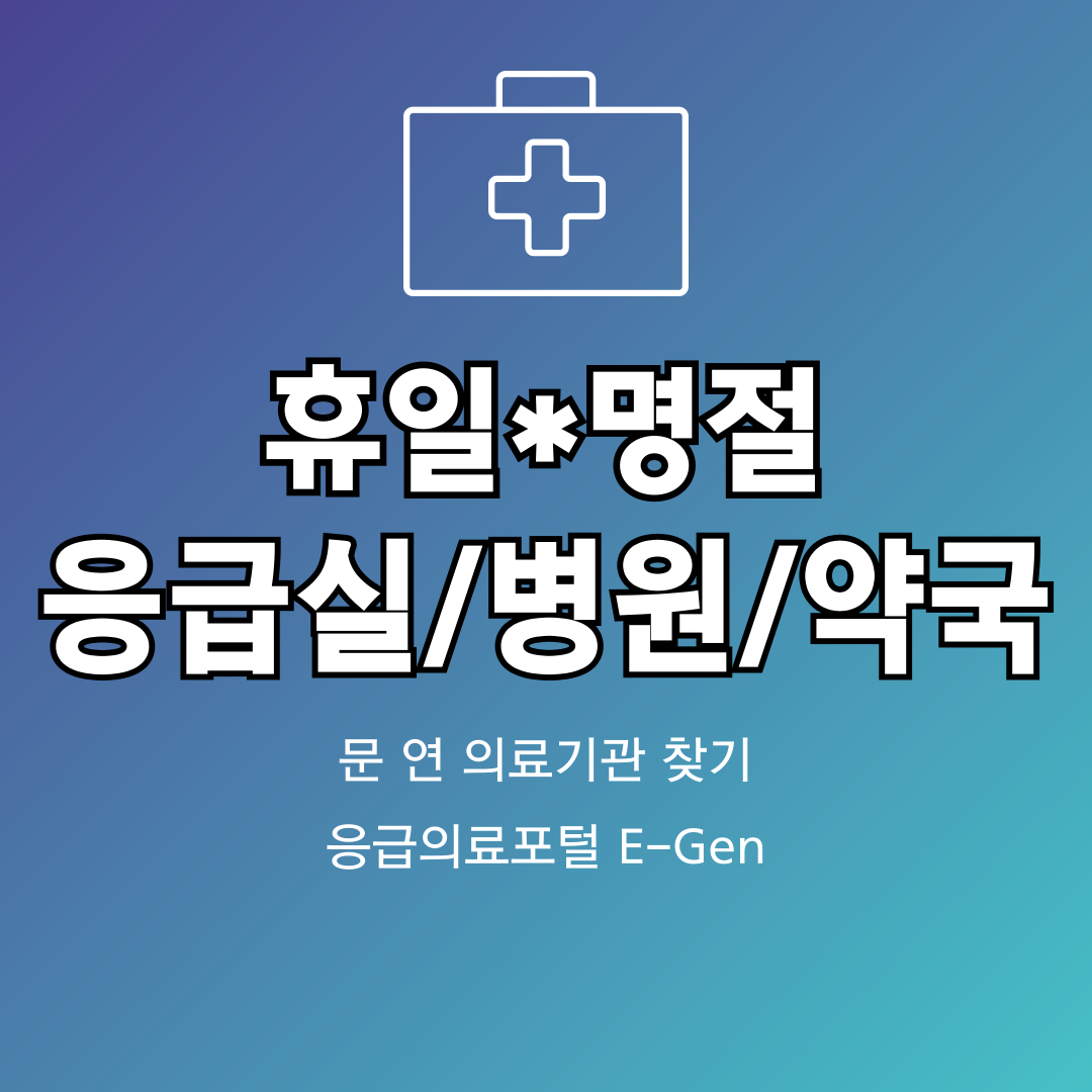 휴일 진료병원 문 여는 의료기관 약국 찾기 응급의료포털