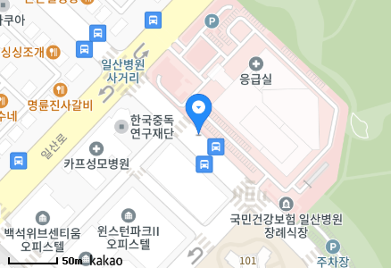 경기도 고양시 일산동구 백석동 일요일 진료 휴일 문 여는 병원