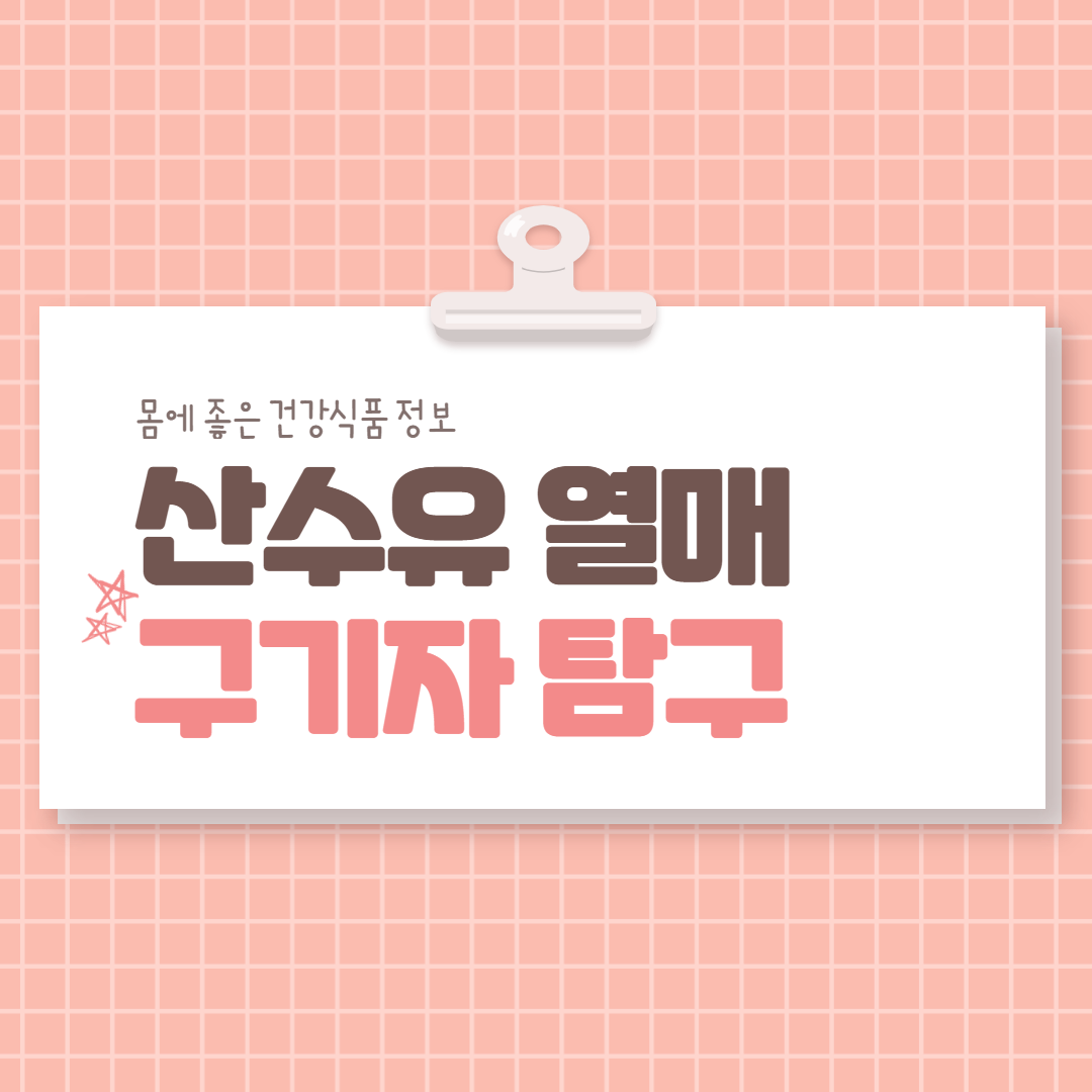  산수유열매 구기자 탐구