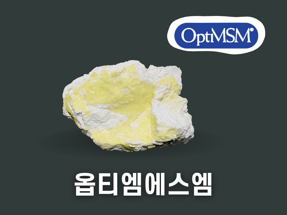 옵티엠에스엠 효능(Opti msm)