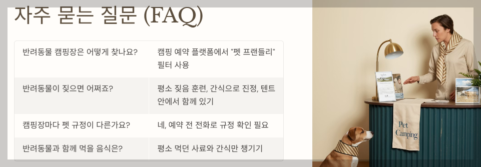 자주 묻는 질문