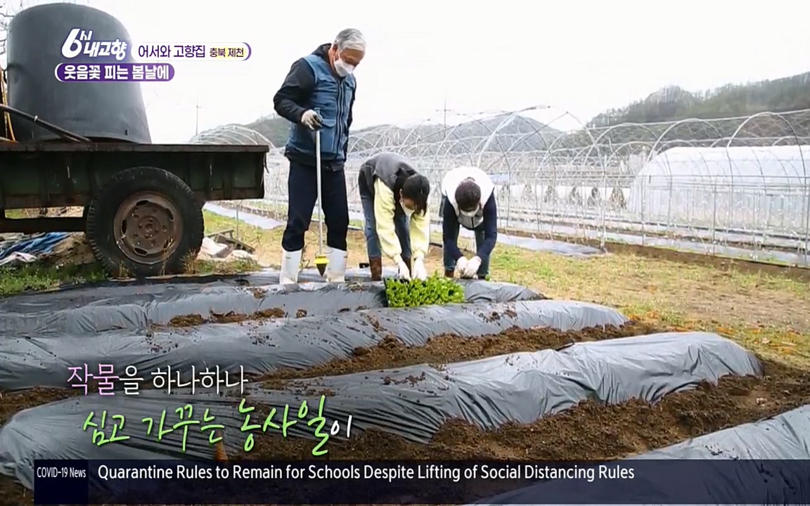 6시 내고향.E7518.220426p.H264-F1RST.mp4_20220504_191106.368.jpg