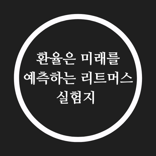  부동산 버블 가격하락 환율의 리트머스 시험