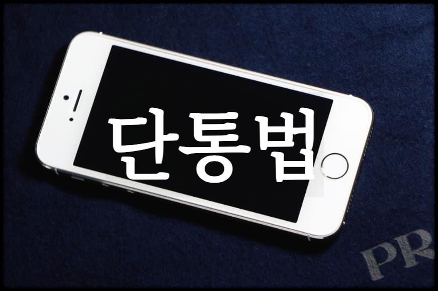  단통법 : 휴대폰 보조금을 규제하기 위해 만들어진 단말기 유통구조 개선법