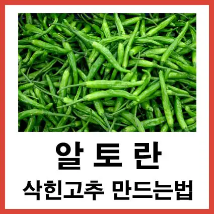 알토란-삭힌고추-만드는법