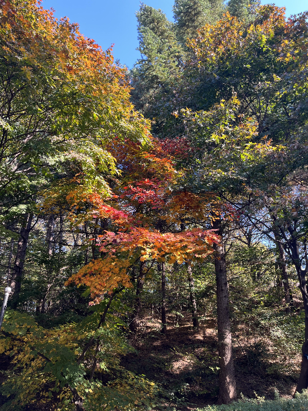 행주산성_가을소풍