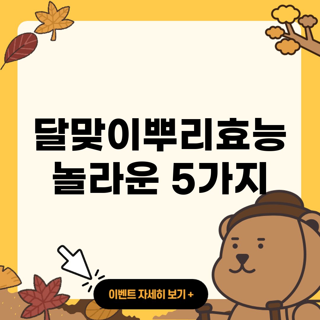 달맞이뿌리효능 놀라운 5가지