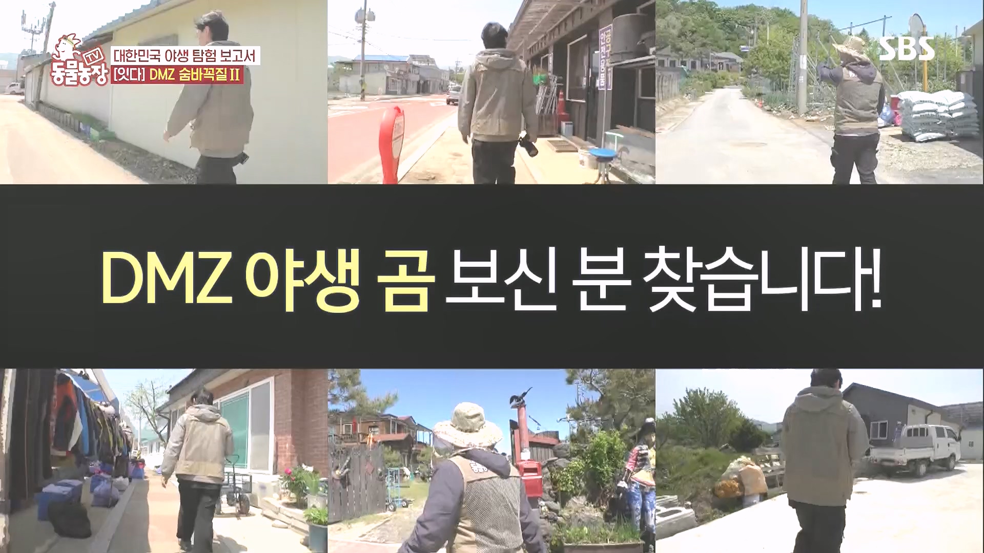 TV 동물농장.E1185.240818p.H264-F1RST.mp4_20240818_161607.549.jpg