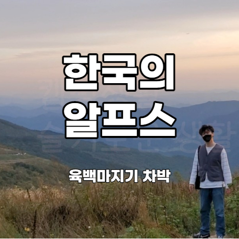 평창 육백마지기 차박 캠핑 즐기기