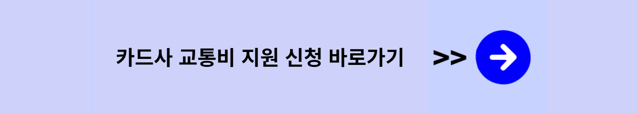 서울시 청년 대중교통비 지원