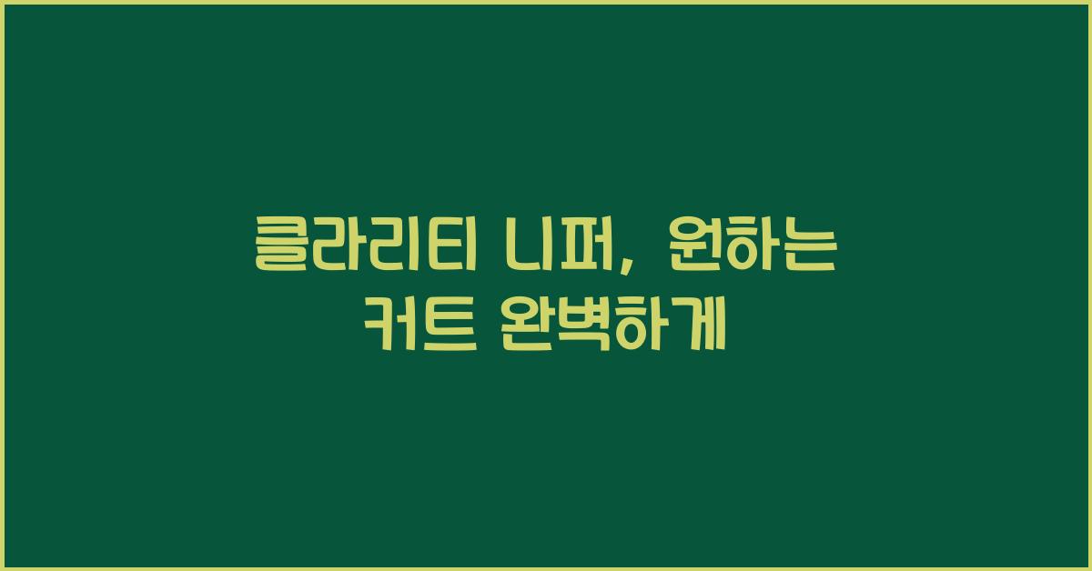클라리티 니퍼