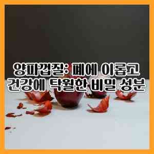 양파껍질 탁월한 비밀 성분