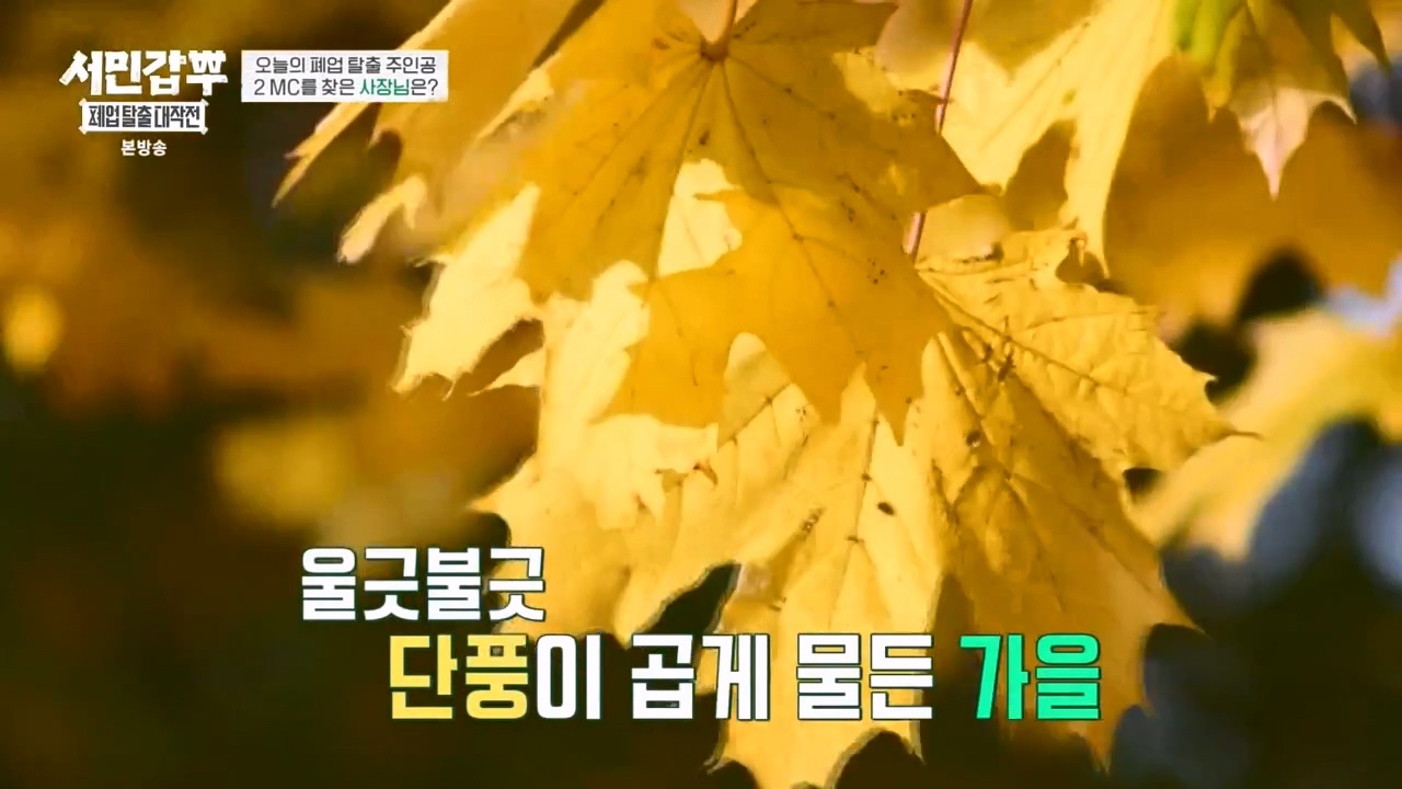 서민갑부 폐업 탈출 대작전.E18.231119p-NEXT.mp4_20231119_182006.017.jpg