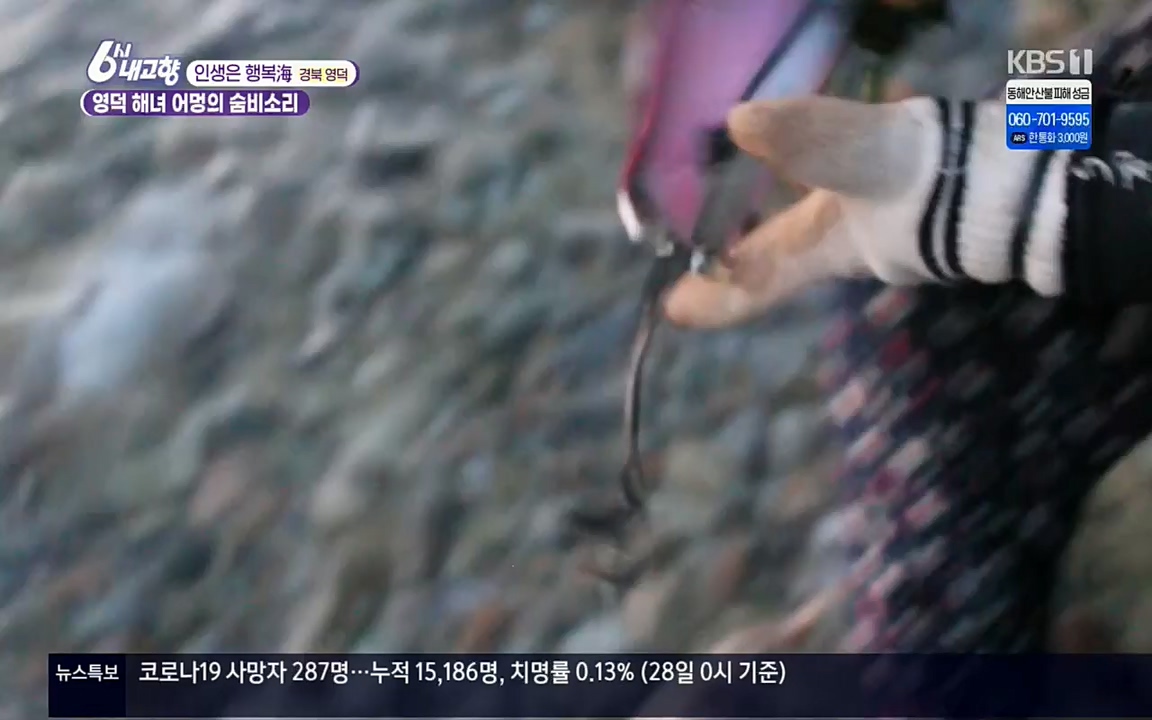 6시 내고향.E7498.220329p.H264-F1RST.mp4_20220329_184055.650.jpg