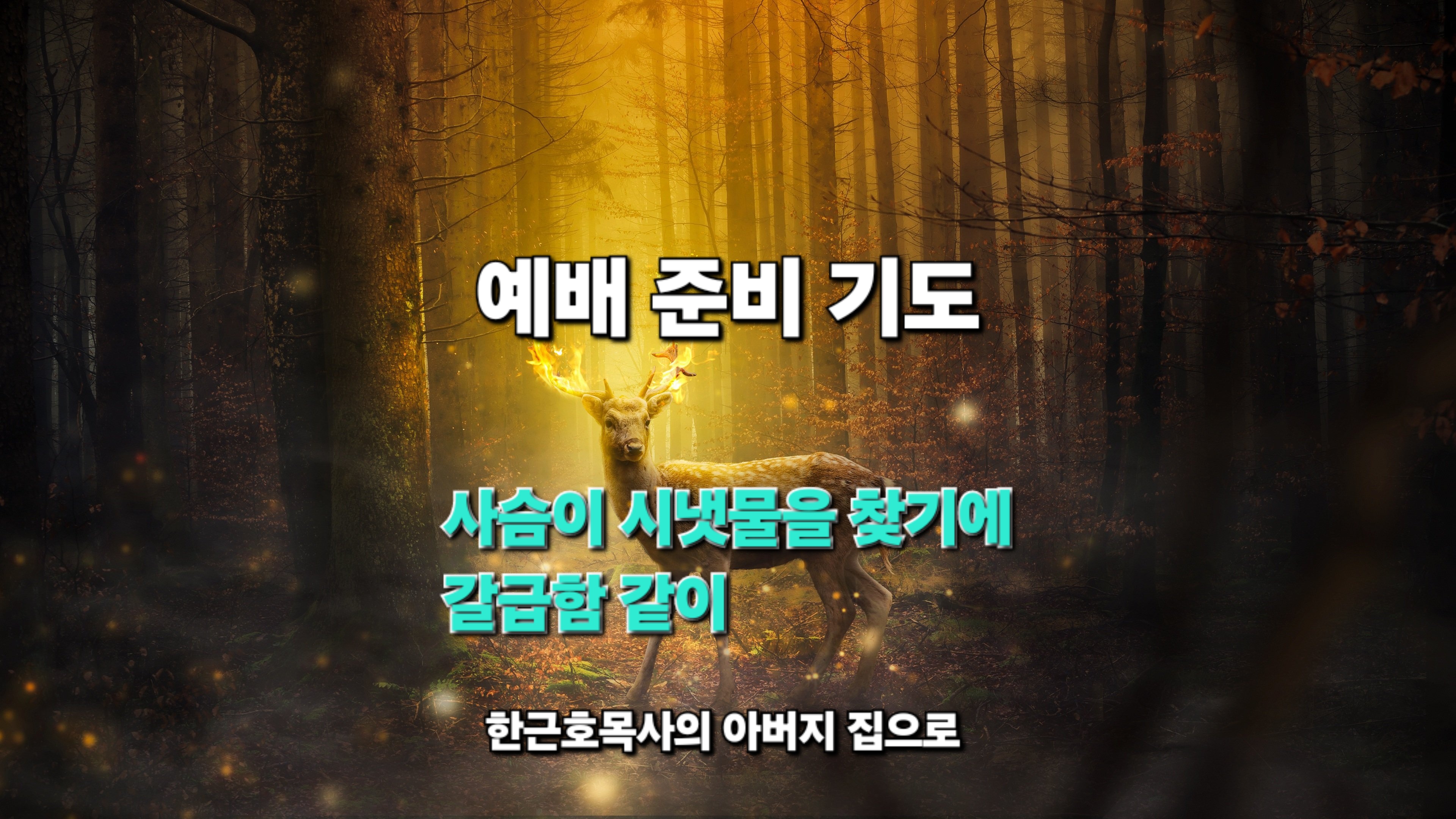  예배의 문을 여는 기도_ 예배 준비 기도: 사슴이 시냇물을 찾기에 갈급함 같이