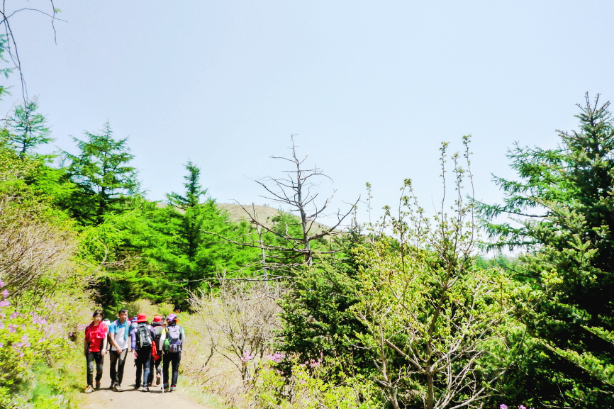 마늘로드 한국 명산 전북 남원 지리산 바래봉 등산 mountain hiking