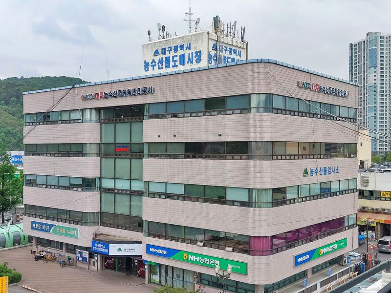 대구 유통 이미지