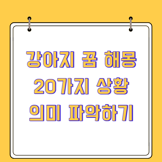 강아지 꿈 해몽: 20가지 상황에서 의미 파악하기