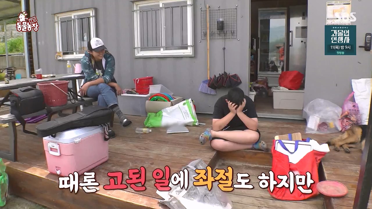 TV 동물농장.E1179.240708p-NEXT.mp4_20240707_160420.966.jpg