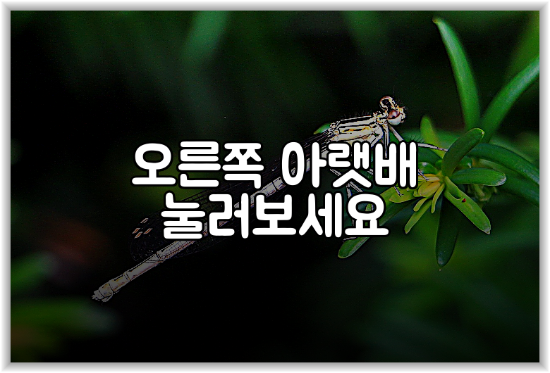 오른쪽 아랫배 눌러보세요