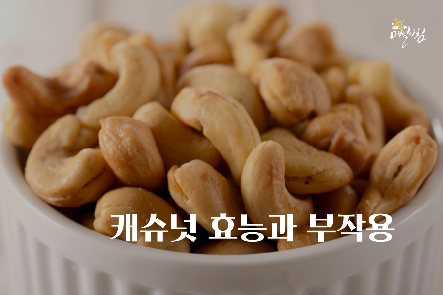  [매일아침좋은글] 캐슈넛 효능과 과다섭취 부작용