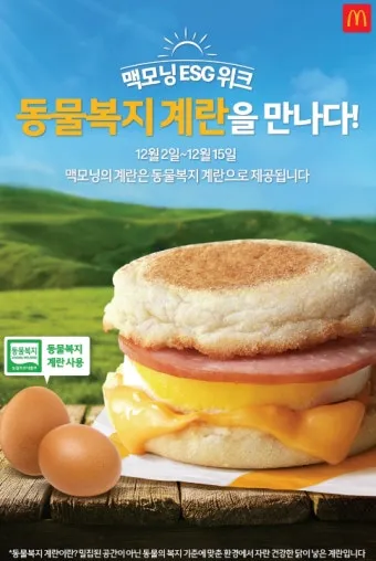 맥모닝 운영 시간 메뉴 완벽 이용 가이드_6