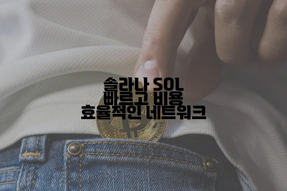 솔라나 SOL 빠르고 비용 효율적인 네트워크