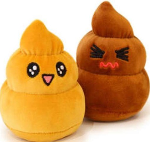 똥 꿈해몽 풀이