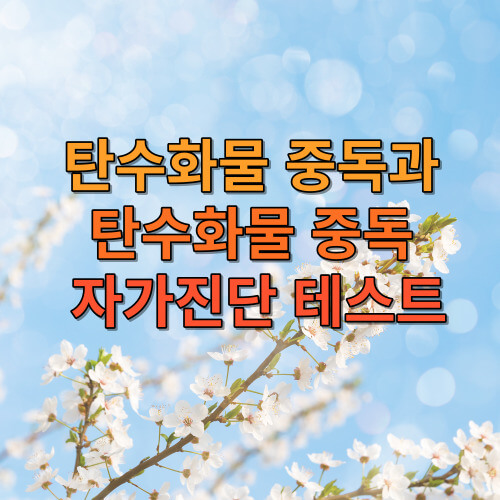 탄수화물 중독과 탄수화물 중독 자가진단 테스트