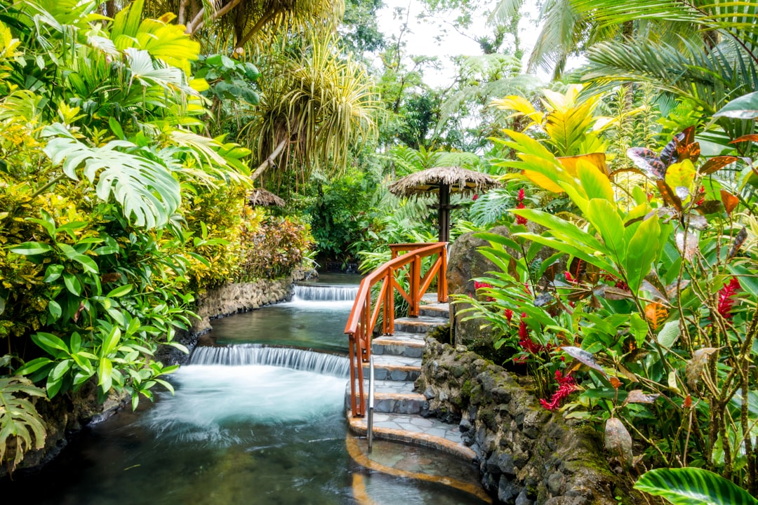 Hot Spring