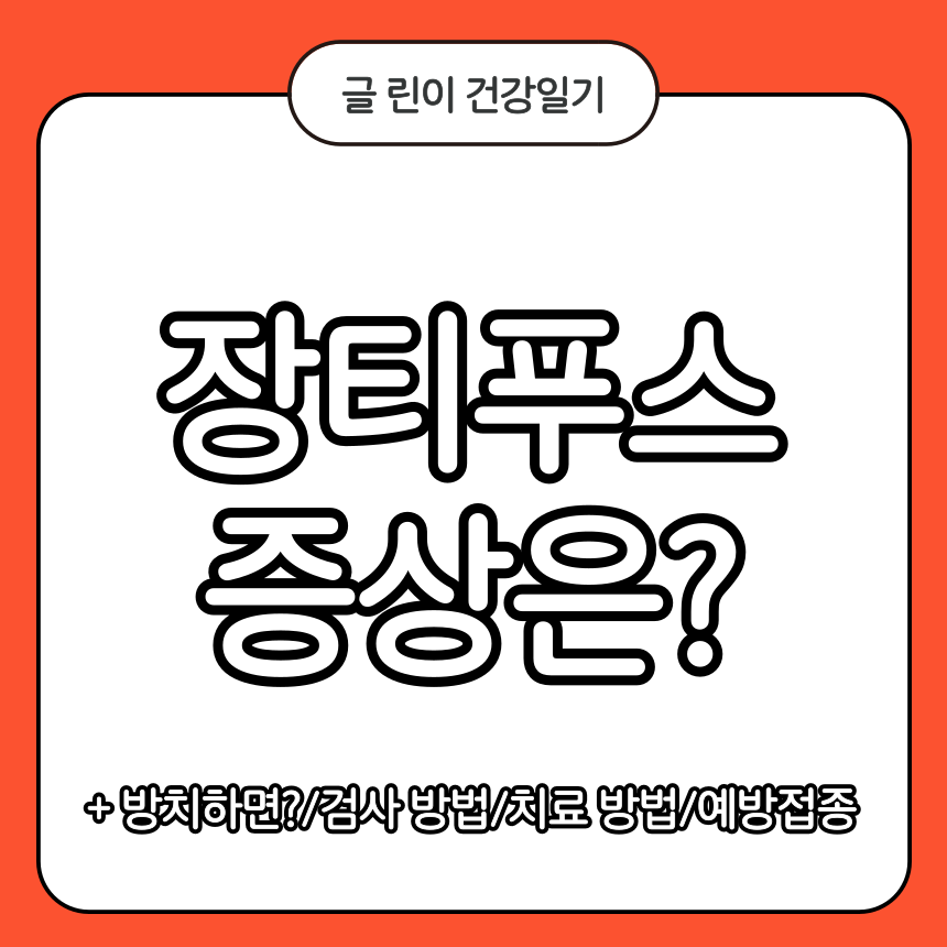 장티푸스 증상