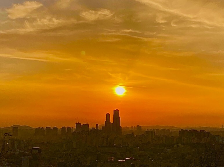 초보러너