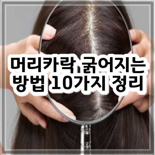 머리카락 굵어지는 방법