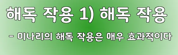 해독 작용 1) 해독 작용 - 미나리의 해독 작용은 매우 효과적이다