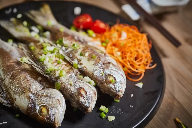 동해산타열차 시간표 예매가능한 날 가격_5