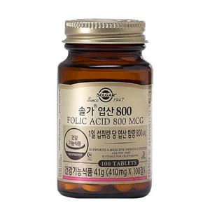 엽산 추천