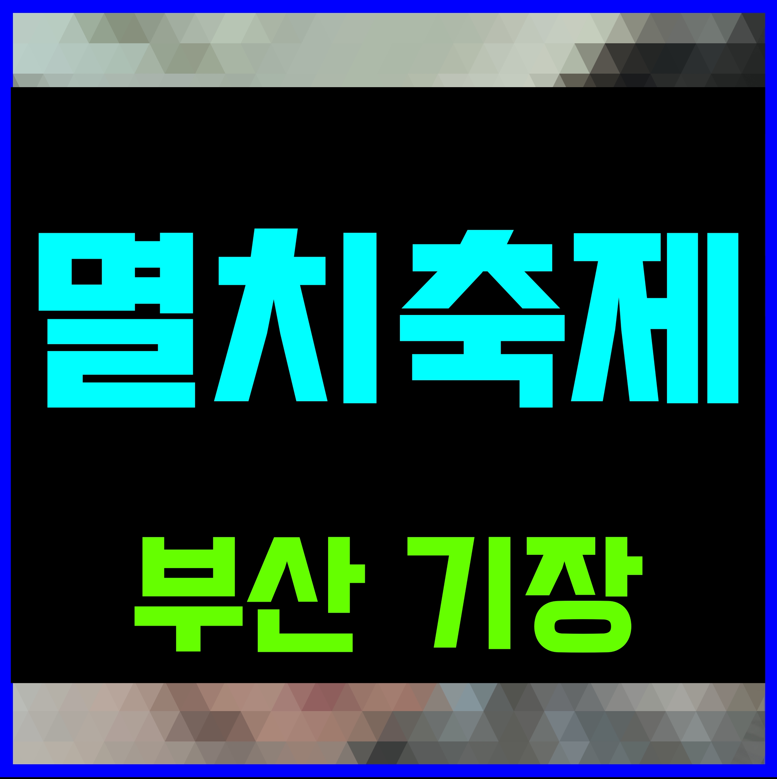  부산 기장 멸치축제 기간 출연가수 정보 알아보자