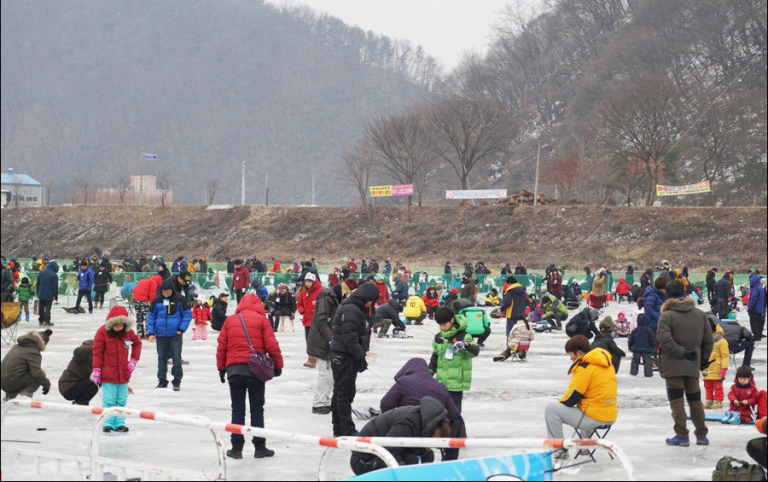 가평 자라섬 씽씽 축제