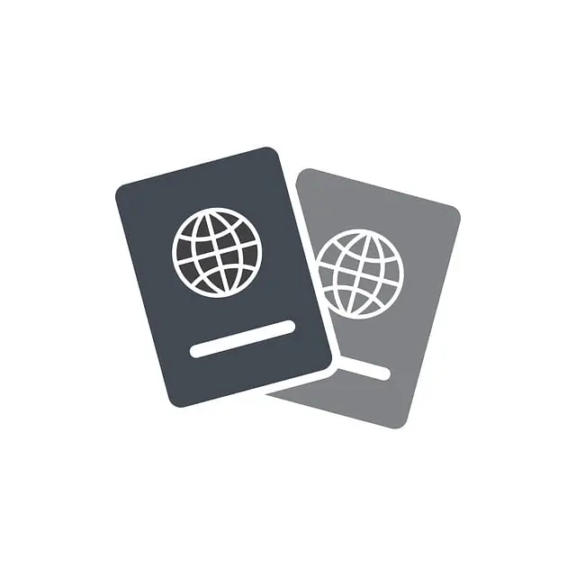 여권 재발급 온라인