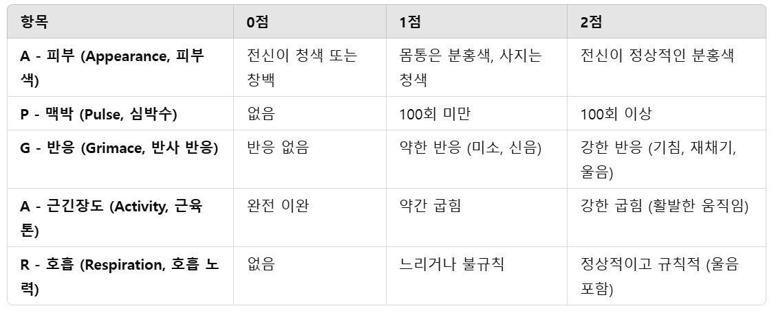 아프가-점수-항목