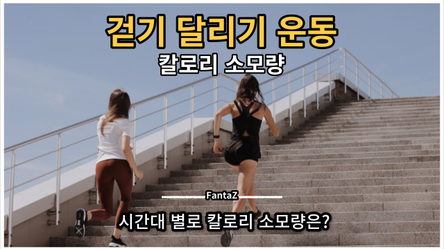  [걷기 & 달리기 운동] 시간대별 소모 칼로리는?
