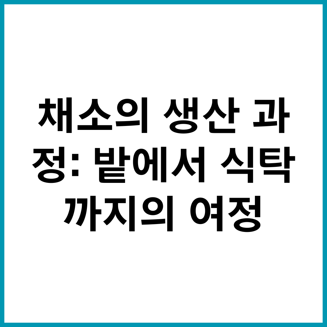 채소의 생산 과정: 밭에서 식탁까지의 여정