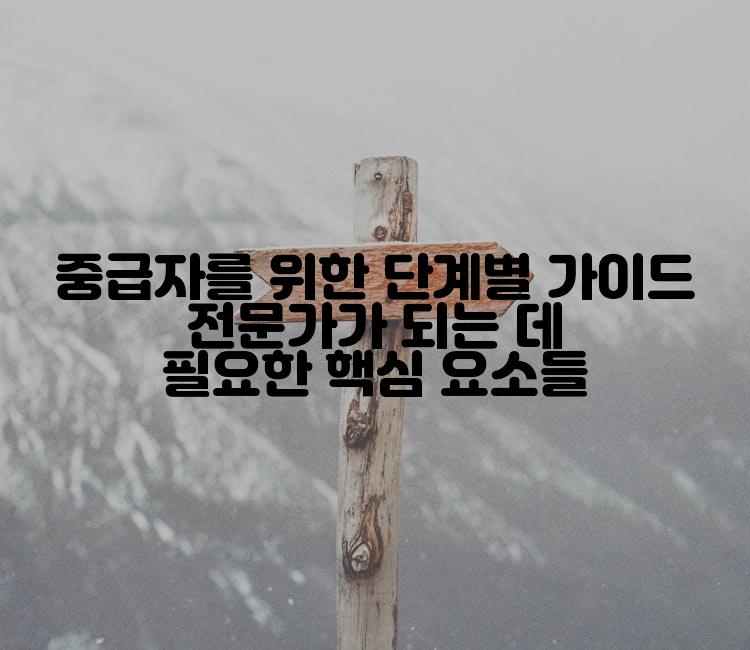 중급자를 위한 단계별 가이드 전문가가 되는 데 필요한 핵심 요소들