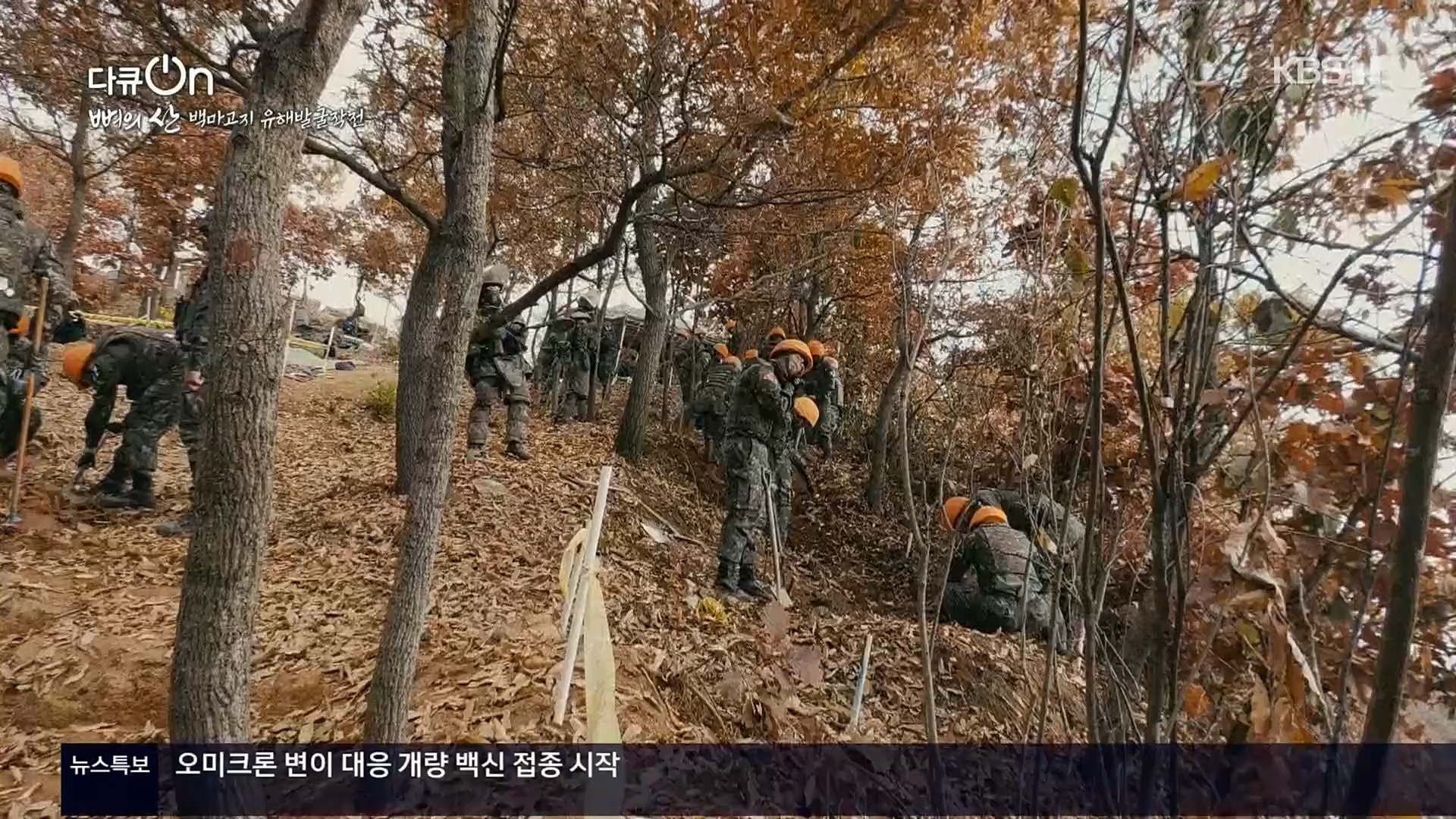 다큐 On.E163.221016p.H264-F1RST.mp4_20221018_185854.585.jpg