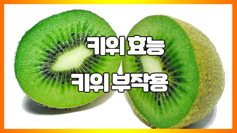  키위 효능 정리 : 알레르기